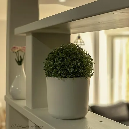 Romil 26 Urban Retreat By Vigovacaciones Appartement Vigo